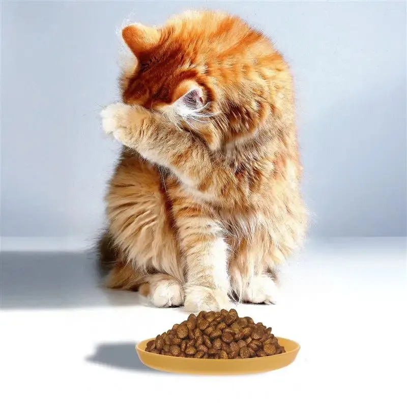 4-Piece Shallow Cat Food Bowls - Wide Pet Feeding Plates