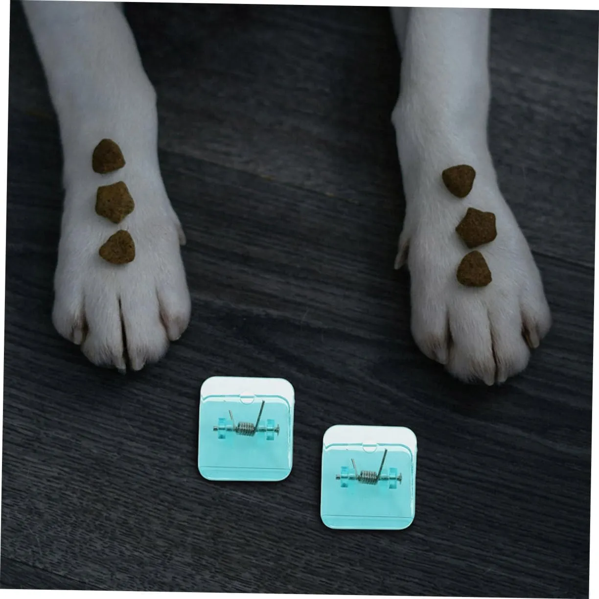 8pcs Dog Pee Pad Holder Puppy Training Supplies Potty Pad Clip for Small Dogs