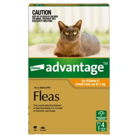Advantage Small Cat Orange