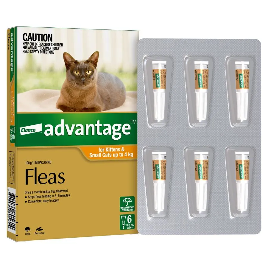 Advantage Small Cat Orange