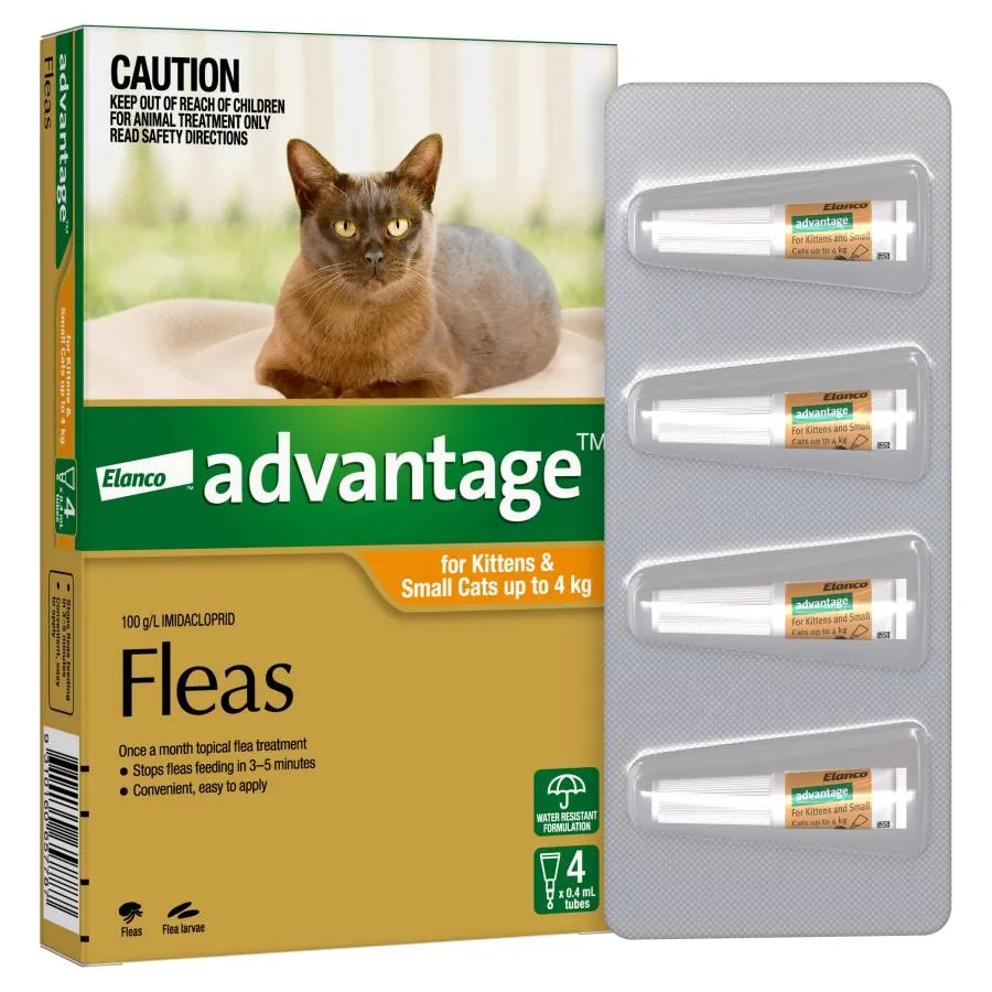 Advantage Small Cat Orange