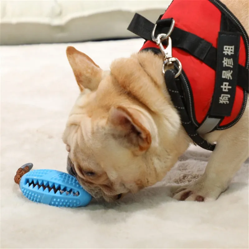 Aggressive Chewers Treat Dispensing Rubber