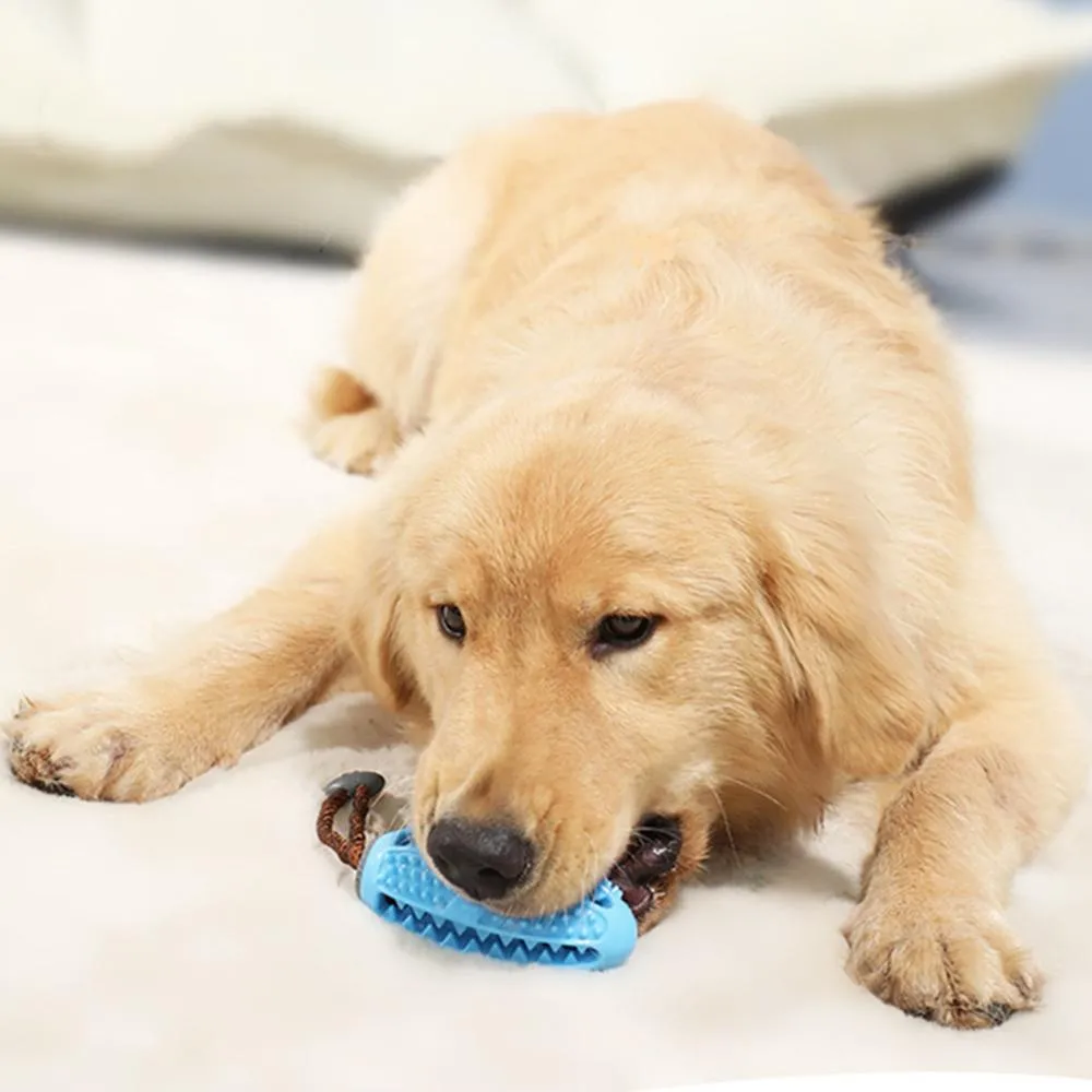 Aggressive Chewers Treat Dispensing Rubber