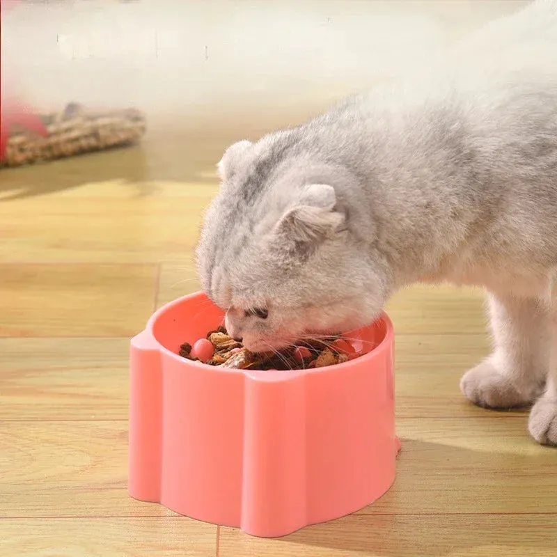 Anti-Choking Cat Food Bowl with Tall Feet and Cartoon Design
