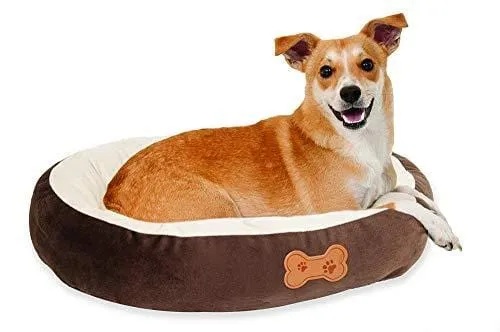 Aspen Pet Oval Cuddler Pet Bed for Small Breeds 20-inch by 16-inch Chocolate Brown
