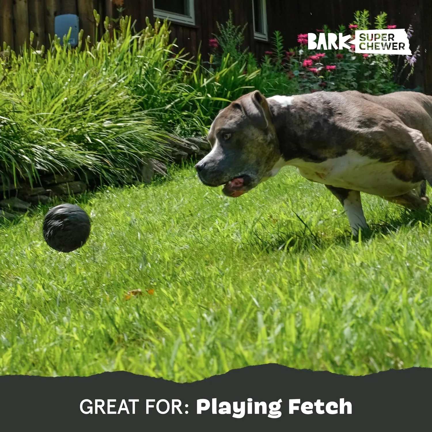 Barkbox Super Chewer Tough Dog Chew Toys for Aggressive Chewers, Treat Dispensing (Comet-Large)