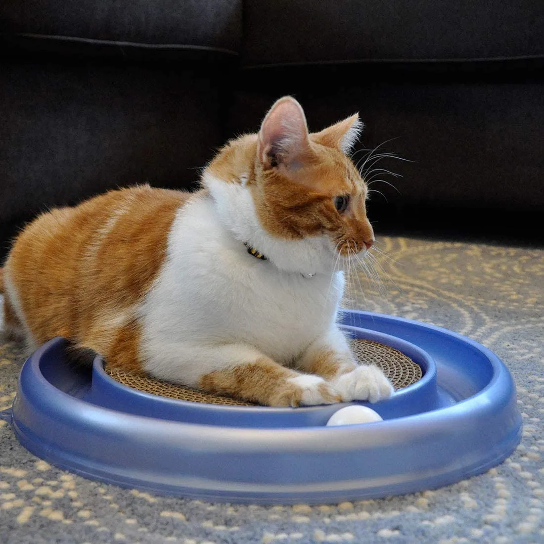 Bergan Turbo Scratcher Replacement Pads,