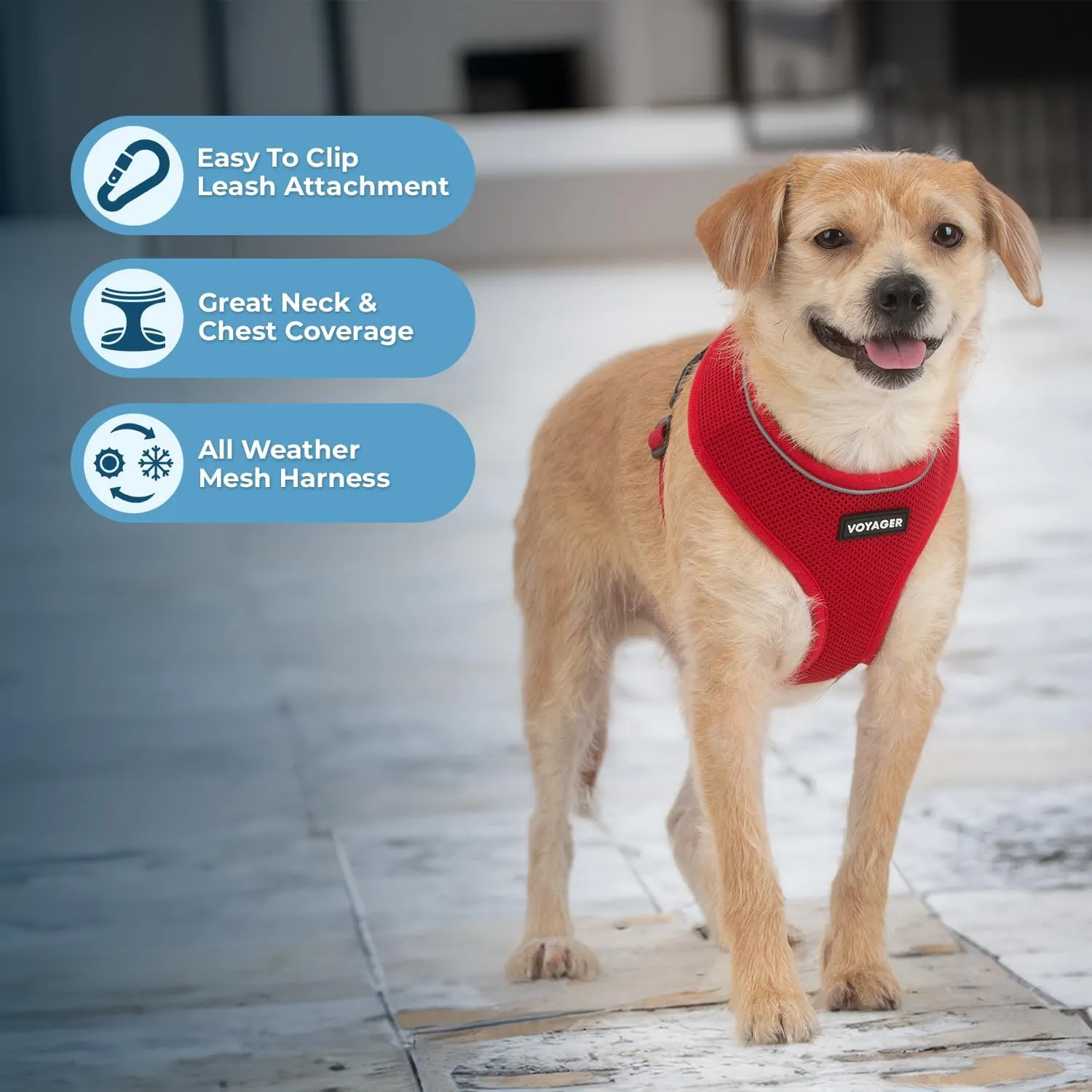 Best Pet Supplies Voyager Aerolite No Pull Mesh Dog Harness, Reflective Stitching, Breathable Harness, Adjustable for Walking, Training, Running, Heavy Duty and Durable, Red, L