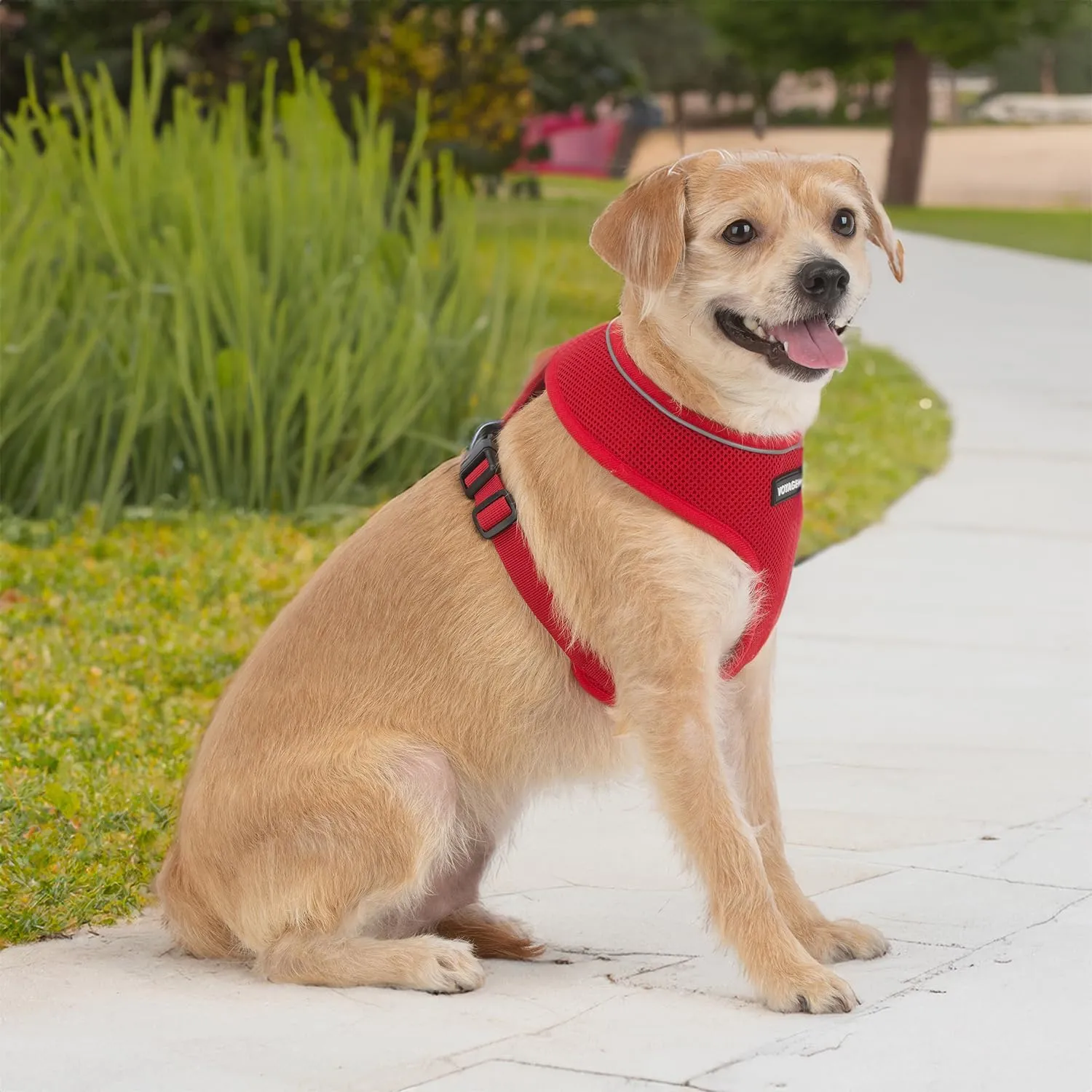 Best Pet Supplies Voyager Aerolite No Pull Mesh Dog Harness, Reflective Stitching, Breathable Harness, Adjustable for Walking, Training, Running, Heavy Duty and Durable, Red, L