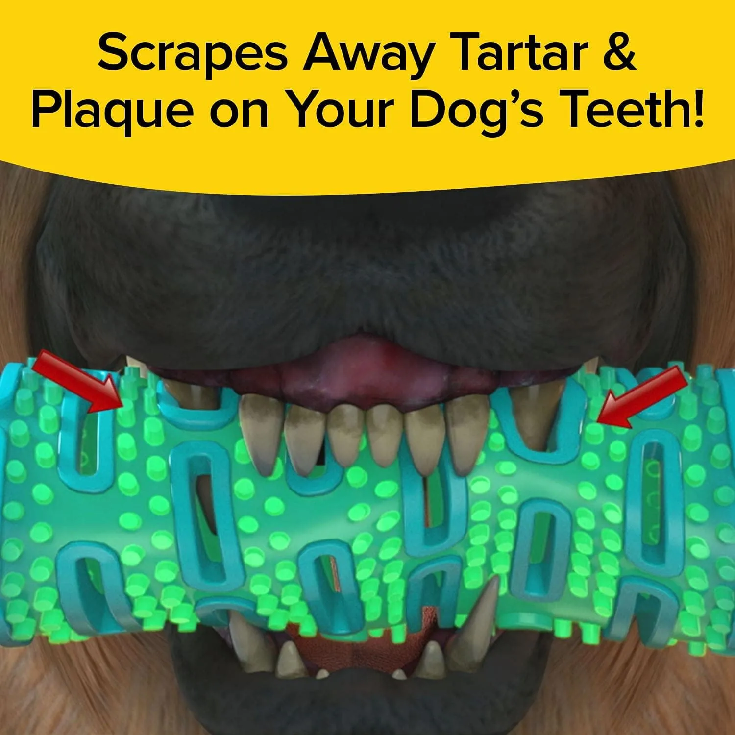 BulbHead BrushBone As Seen On TV Doggy Toothbrush Chew Toy 3 Pack, Plaque & Tartar Remover, Works 3 Ways to Clean While They Play, Invented by a Dentist, Add Peanut Butter or Cheese, Brush Bone