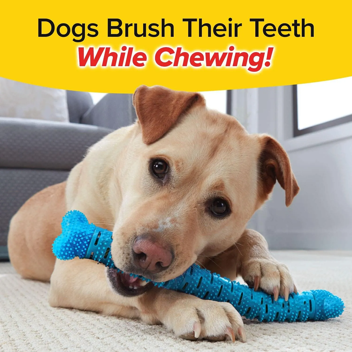 BulbHead BrushBone As Seen On TV Doggy Toothbrush Chew Toy 3 Pack, Plaque & Tartar Remover, Works 3 Ways to Clean While They Play, Invented by a Dentist, Add Peanut Butter or Cheese, Brush Bone