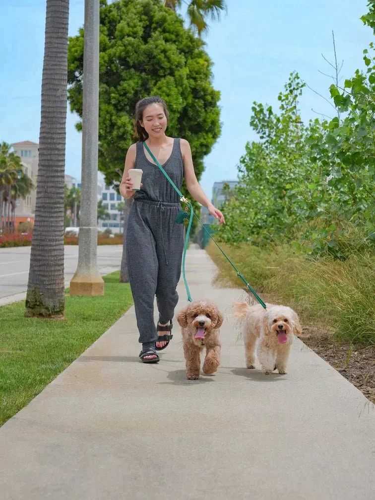Burgundy Hands Free Leash 4-Way Extension
