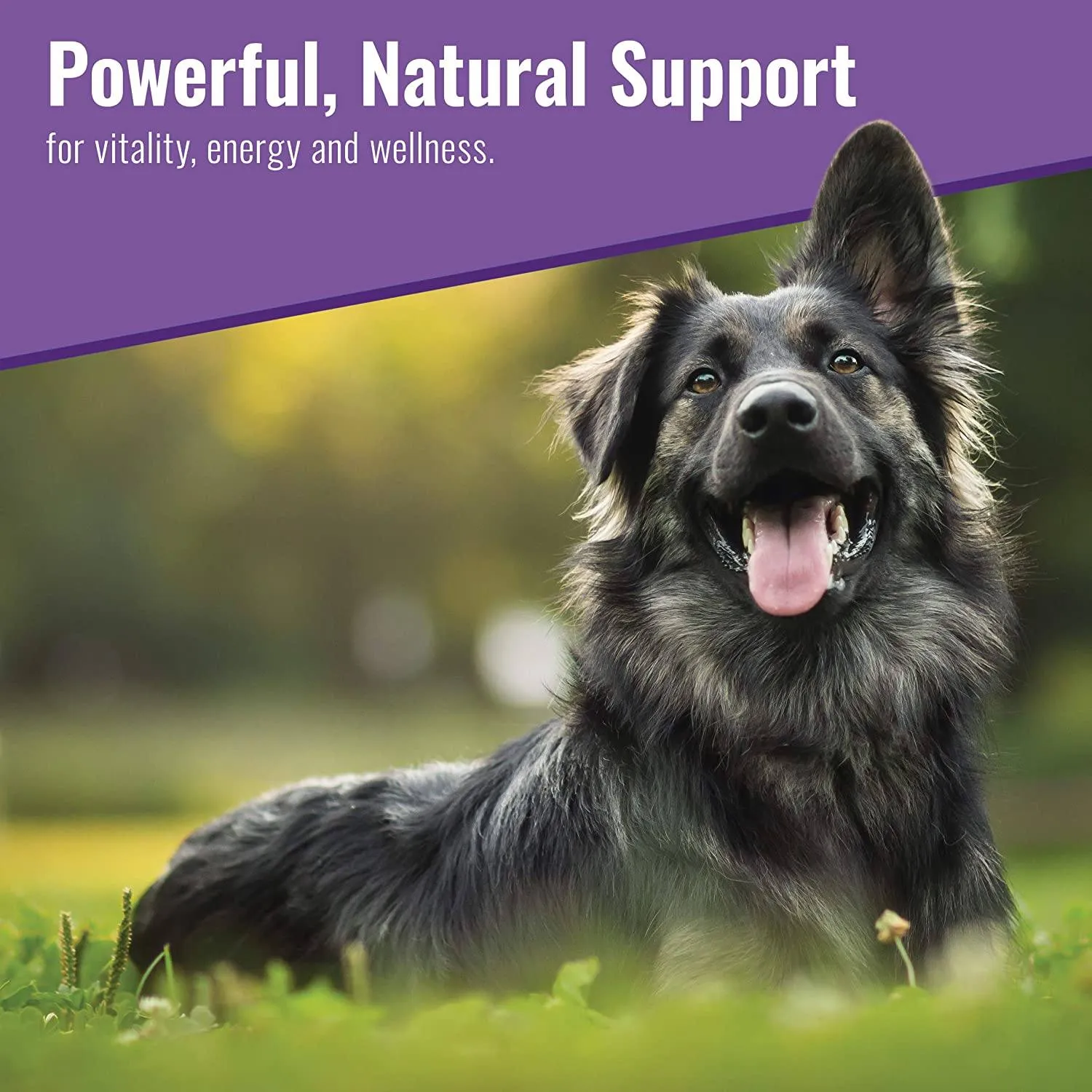 Canine Matrix 100gram (4oz) Healthy Pet Matrix Immune Support Dog Supplements - 4 oz
