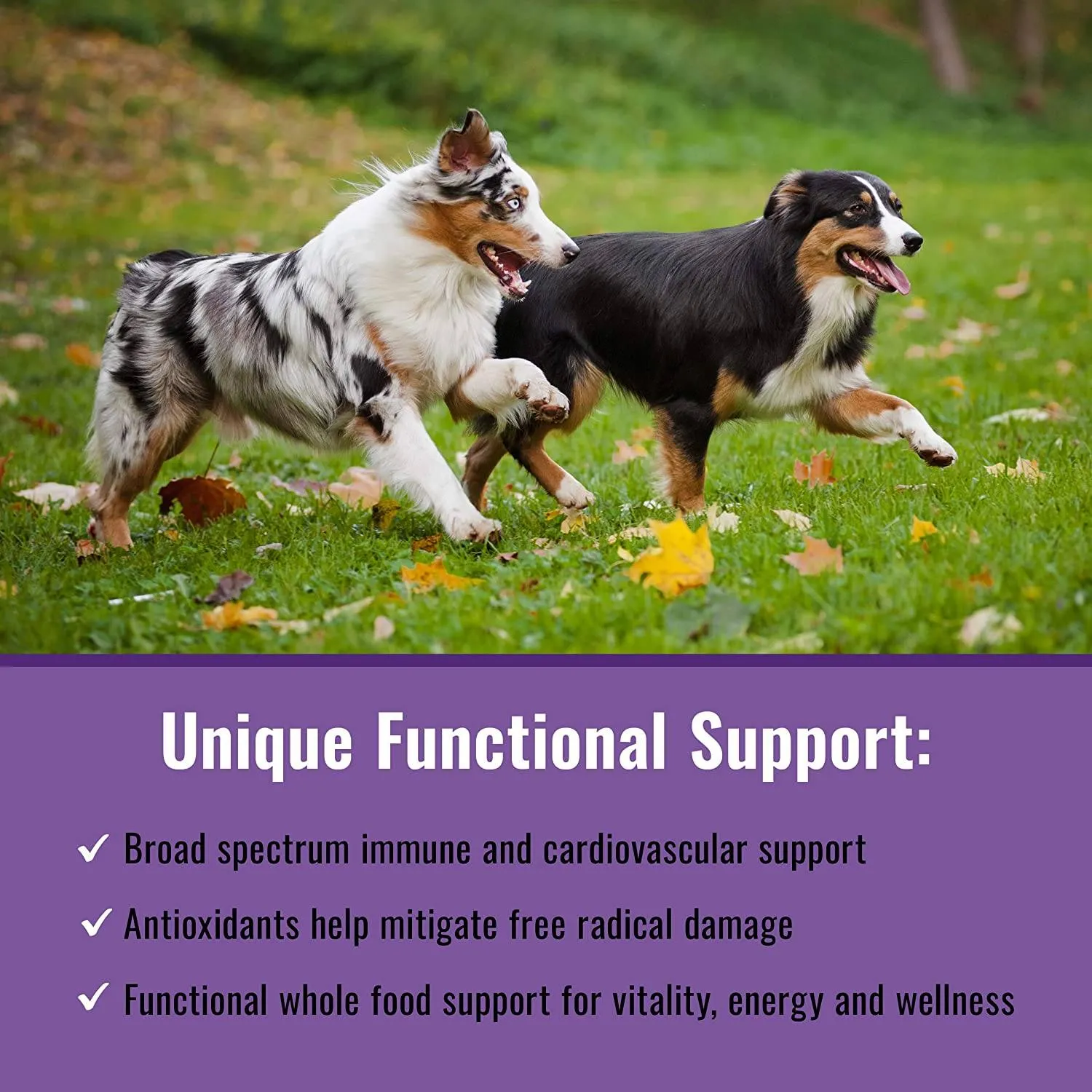 Canine Matrix 100gram (4oz) Healthy Pet Matrix Immune Support Dog Supplements - 4 oz