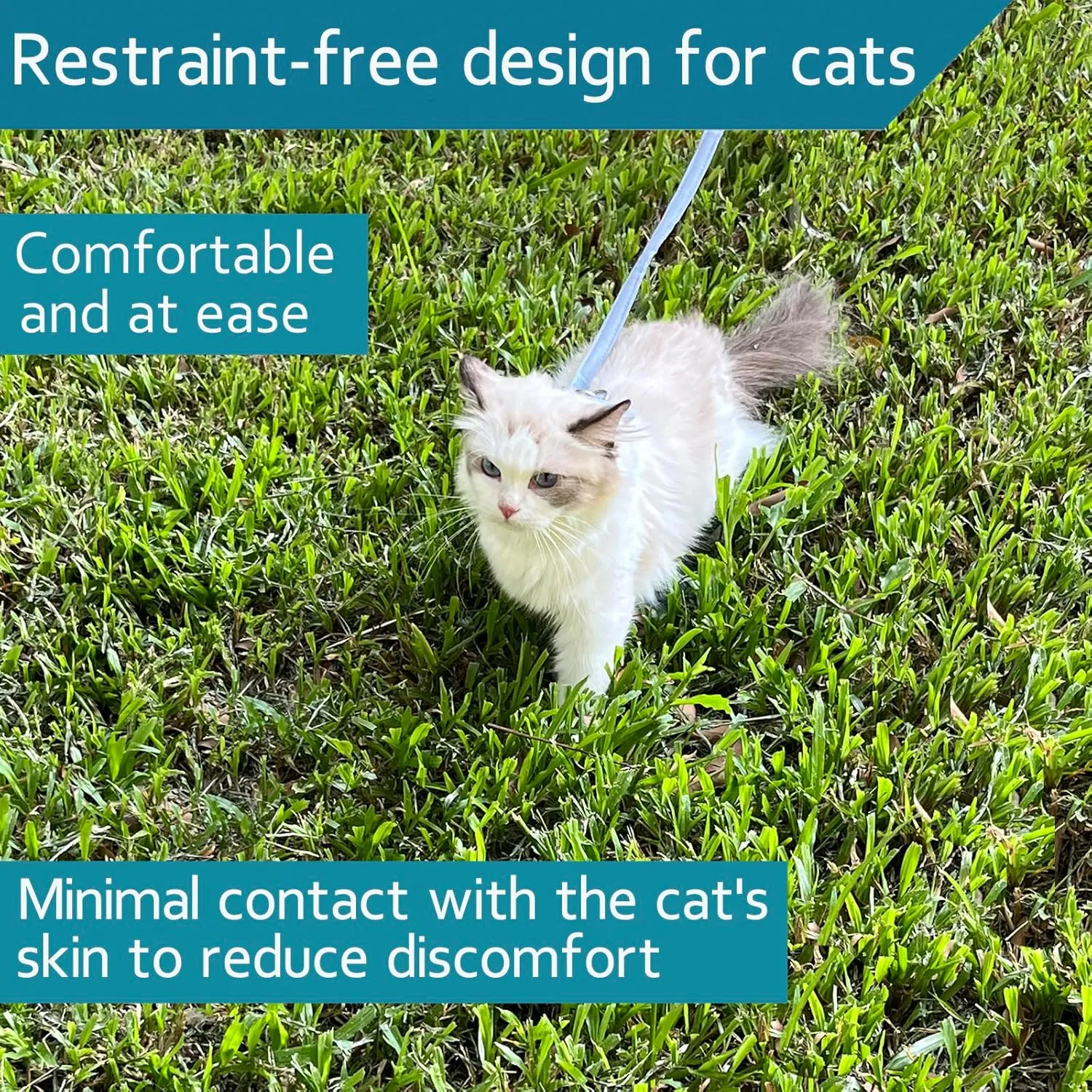 Cat Vest Harness and Leash Set to Outdoor Walking, Cat Harness Escape Proof Ddzmz Escape Proof Soft Mesh Breathable Adjustable Vest Harnesses for Cats Blue S-M Size for Pet Kitten Puppy Rabbit Ferret