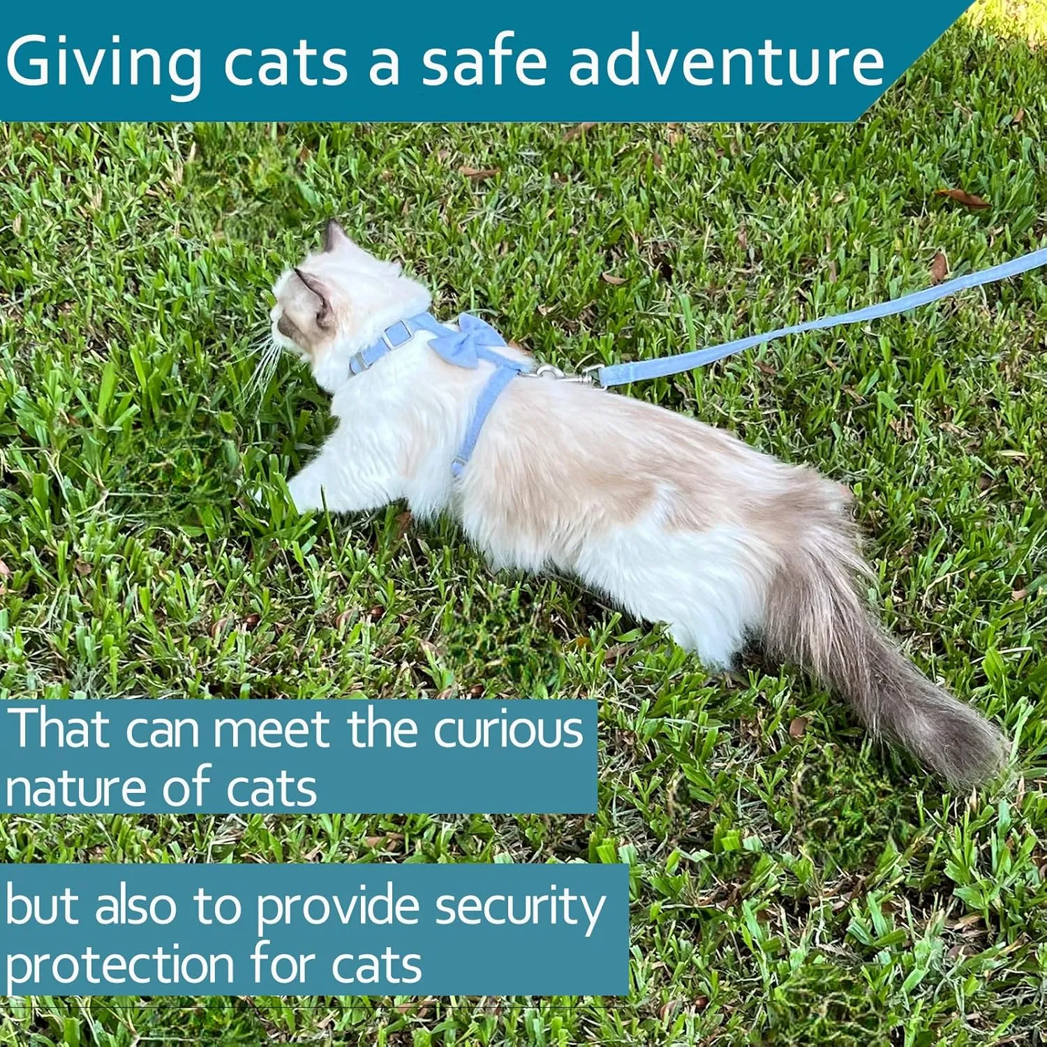 Cat Vest Harness and Leash Set to Outdoor Walking, Cat Harness Escape Proof Ddzmz Escape Proof Soft Mesh Breathable Adjustable Vest Harnesses for Cats Blue S-M Size for Pet Kitten Puppy Rabbit Ferret