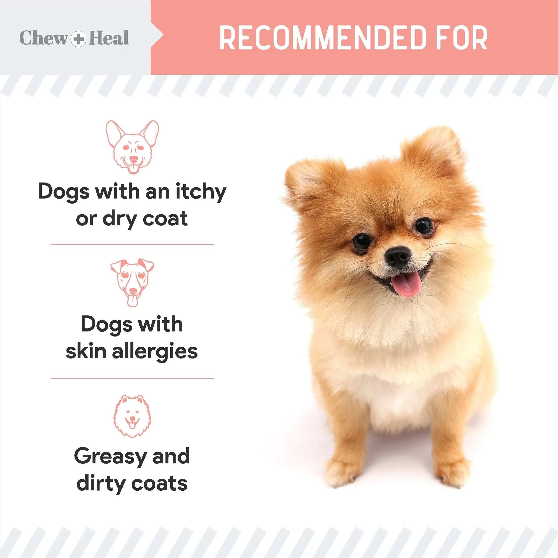 Chew   Heal Pure Wild Alaskan Salmon Oil for Dogs - Pump Cap Bottle