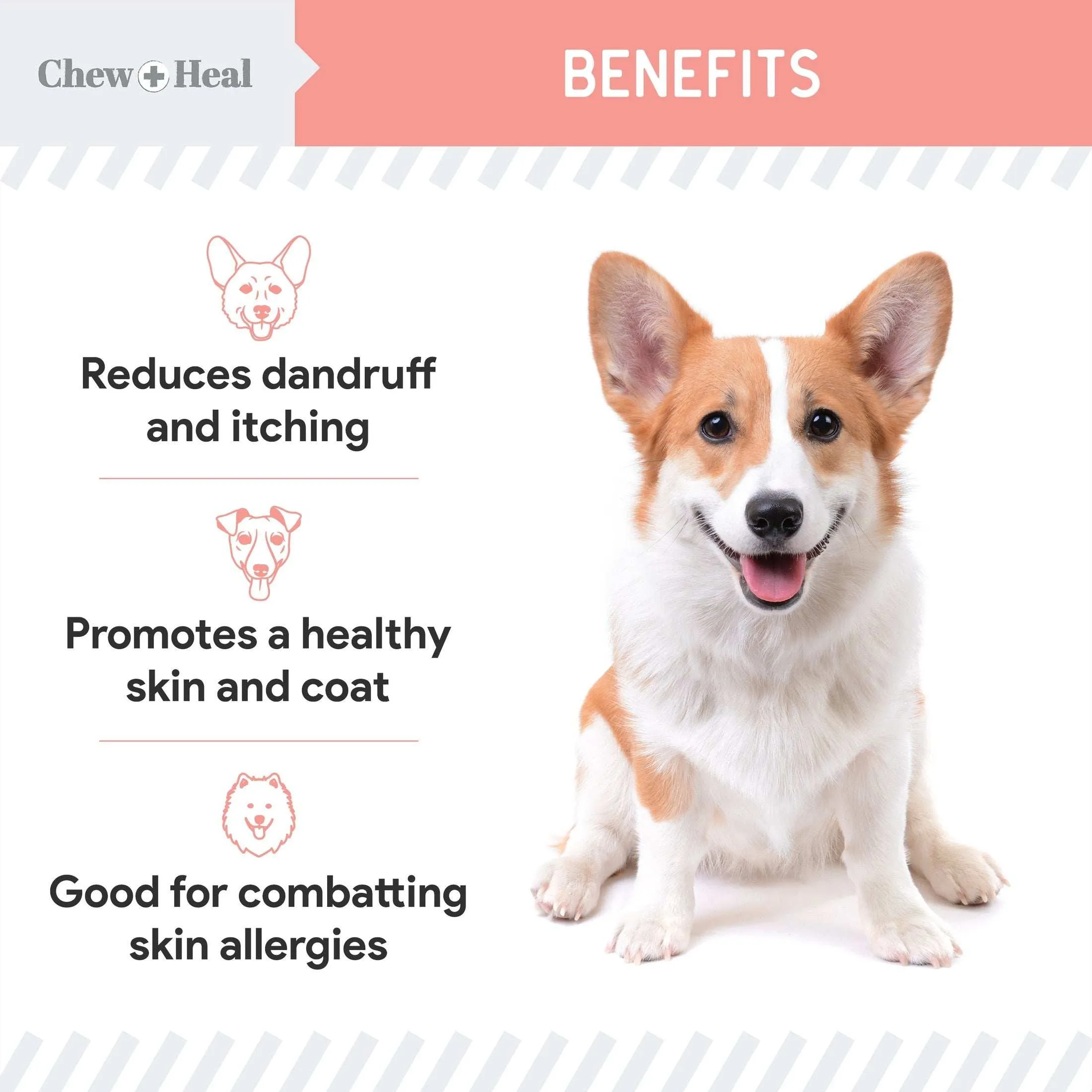 Chew   Heal Pure Wild Alaskan Salmon Oil for Dogs - Pump Cap Bottle