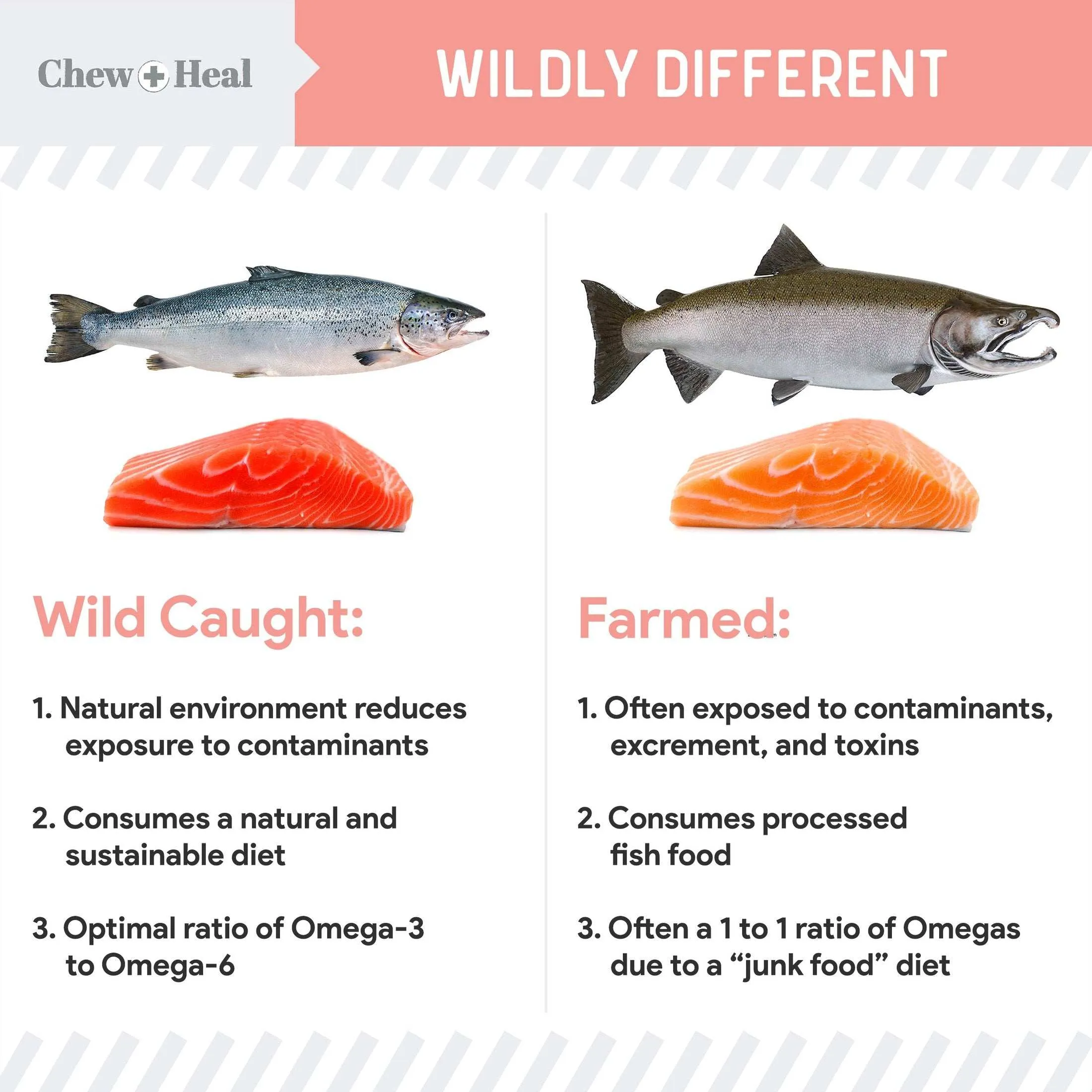 Chew   Heal Pure Wild Alaskan Salmon Oil for Dogs - Pump Cap Bottle