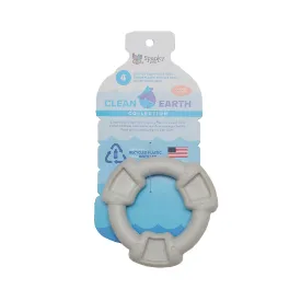 Clean Earth Recycled Ring