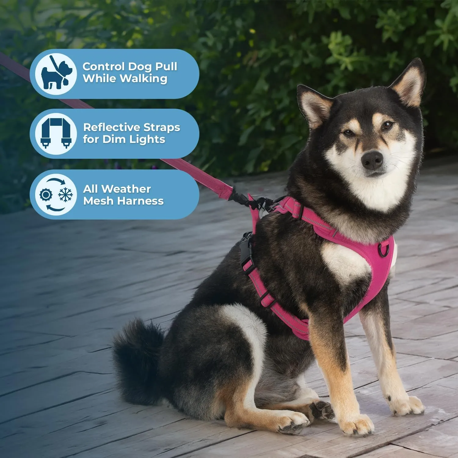 Dog Harness Dual Leash Attachment No-Pull Control Adjustable Soft but Strong Pet Harness for Medium and Large Dogs with 3M Reflective Technology - Harness Leash Set (Fuchsia), XS