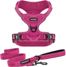 Dog Harness Dual Leash Attachment No-Pull Control Adjustable Soft but Strong Pet Harness for Medium and Large Dogs with 3M Reflective Technology - Harness Leash Set (Fuchsia), XS