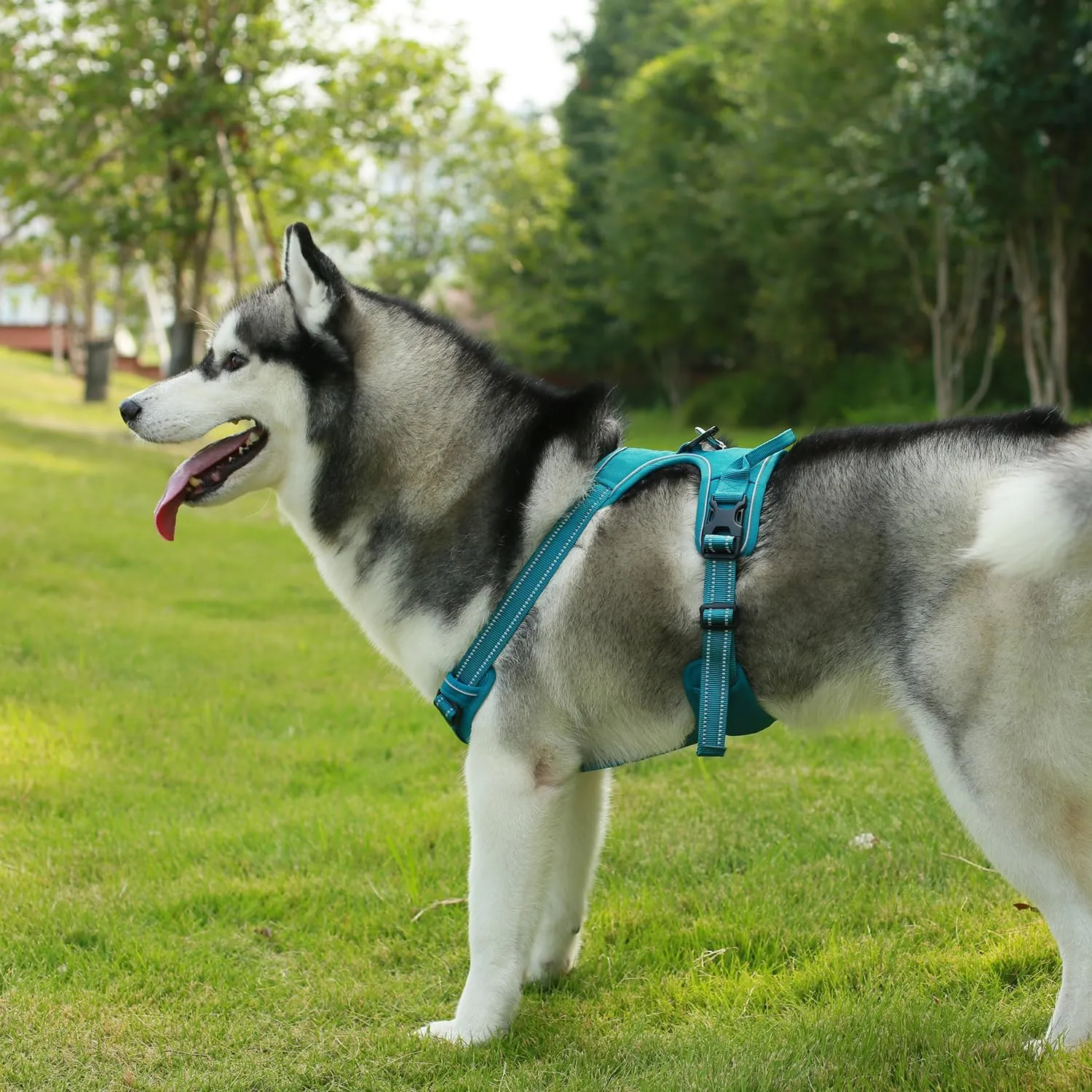 Dog Harness Dual Leash Attachment No-Pull Control Adjustable Soft but Strong Pet Harness for Medium and Large Dogs with 3M Reflective Technology - Harness Leash Set (Turquoise), S