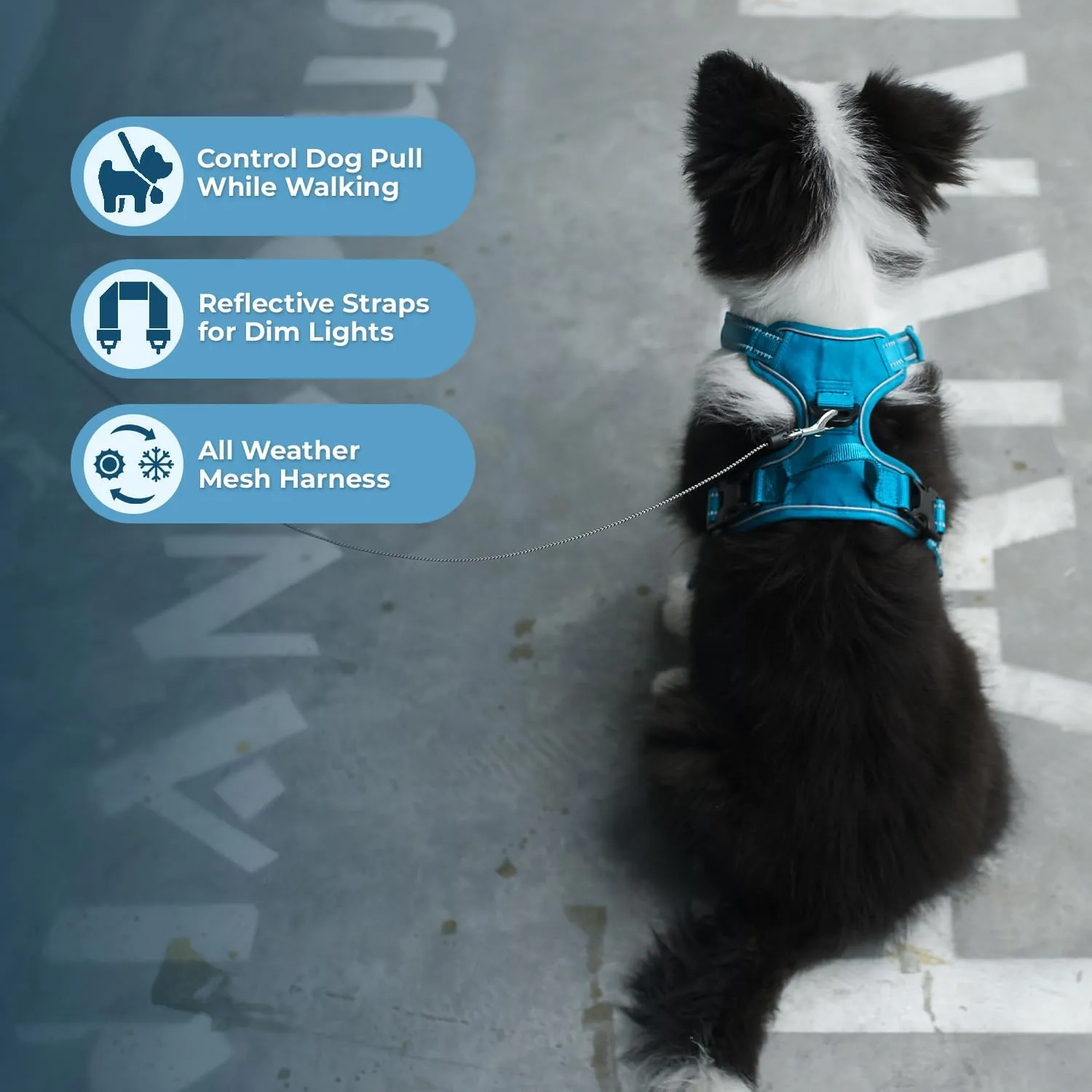 Dog Harness Dual Leash Attachment No-Pull Control Adjustable Soft but Strong Pet Harness for Medium and Large Dogs with 3M Reflective Technology - Harness Leash Set (Turquoise), S