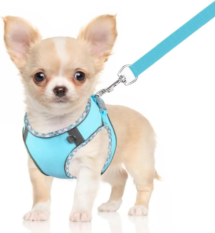 Dog Harness for Small Medium Dogs No Pull Adjustable Step in Puppy Harness and Leash Set,Reflective Breathable Mesh Pet Harnesses Soft Padded Vest for Dogs Easy to Put on (Dark Blue, XXS)