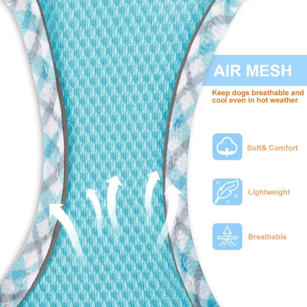 Dog Harness for Small Medium Dogs No Pull Adjustable Step in Puppy Harness and Leash Set,Reflective Breathable Mesh Pet Harnesses Soft Padded Vest for Dogs Easy to Put on (Dark Blue, XXS)