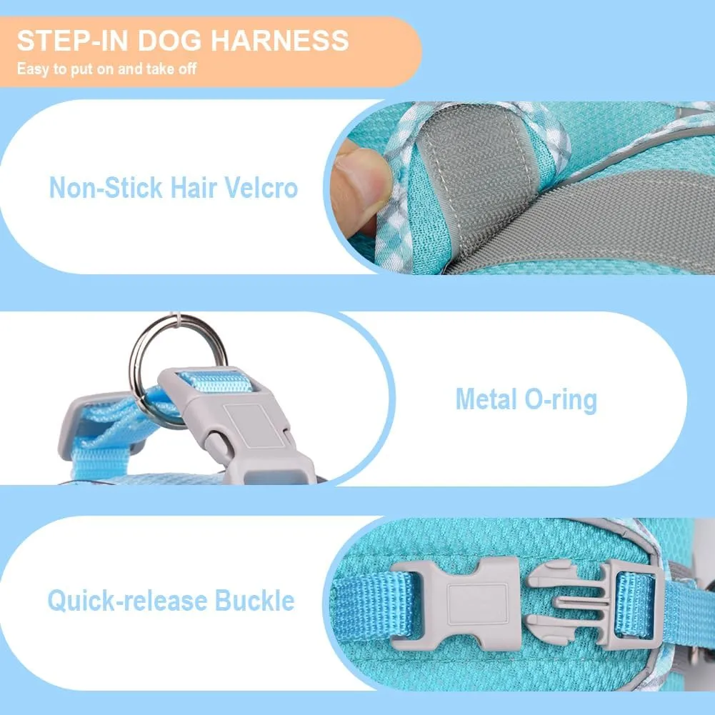 Dog Harness for Small Medium Dogs No Pull Adjustable Step in Puppy Harness and Leash Set,Reflective Breathable Mesh Pet Harnesses Soft Padded Vest for Dogs Easy to Put on (Dark Blue, XXS)