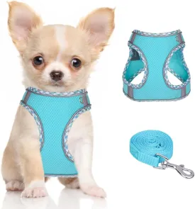 Dog Harness for Small Medium Dogs No Pull Adjustable Step in Puppy Harness and Leash Set,Reflective Breathable Mesh Pet Harnesses Soft Padded Vest for Dogs Easy to Put on (Dark Blue, XXS)
