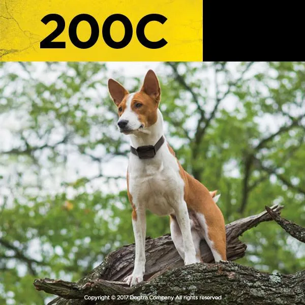 Dogtra 200C Remote Dog Training Collar