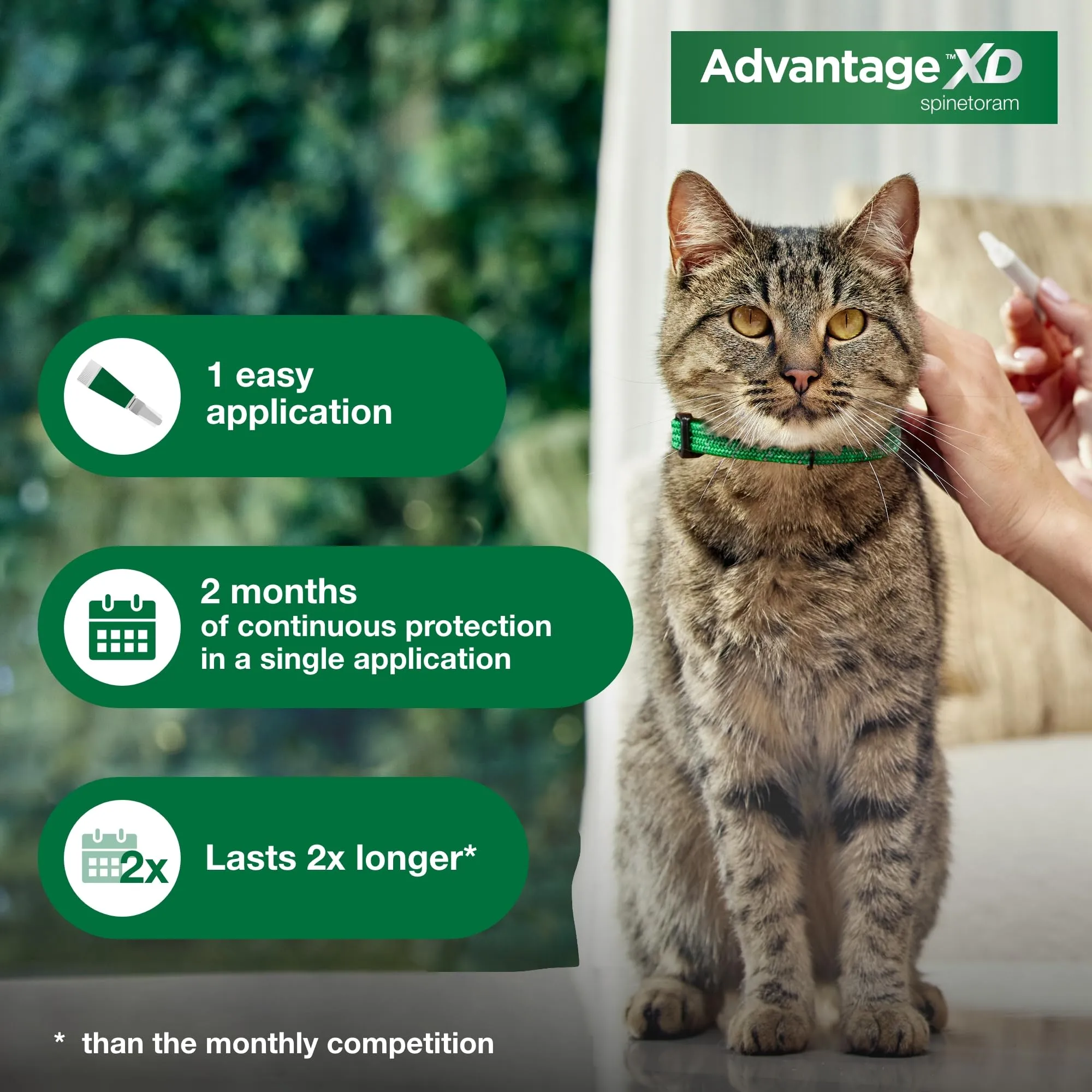 Elanco Advantage XD Extended Small Cat 8-Month 4-Dose Flea and Tick Spot-on Treatment - 1.8-9Lbs - 4 Pack