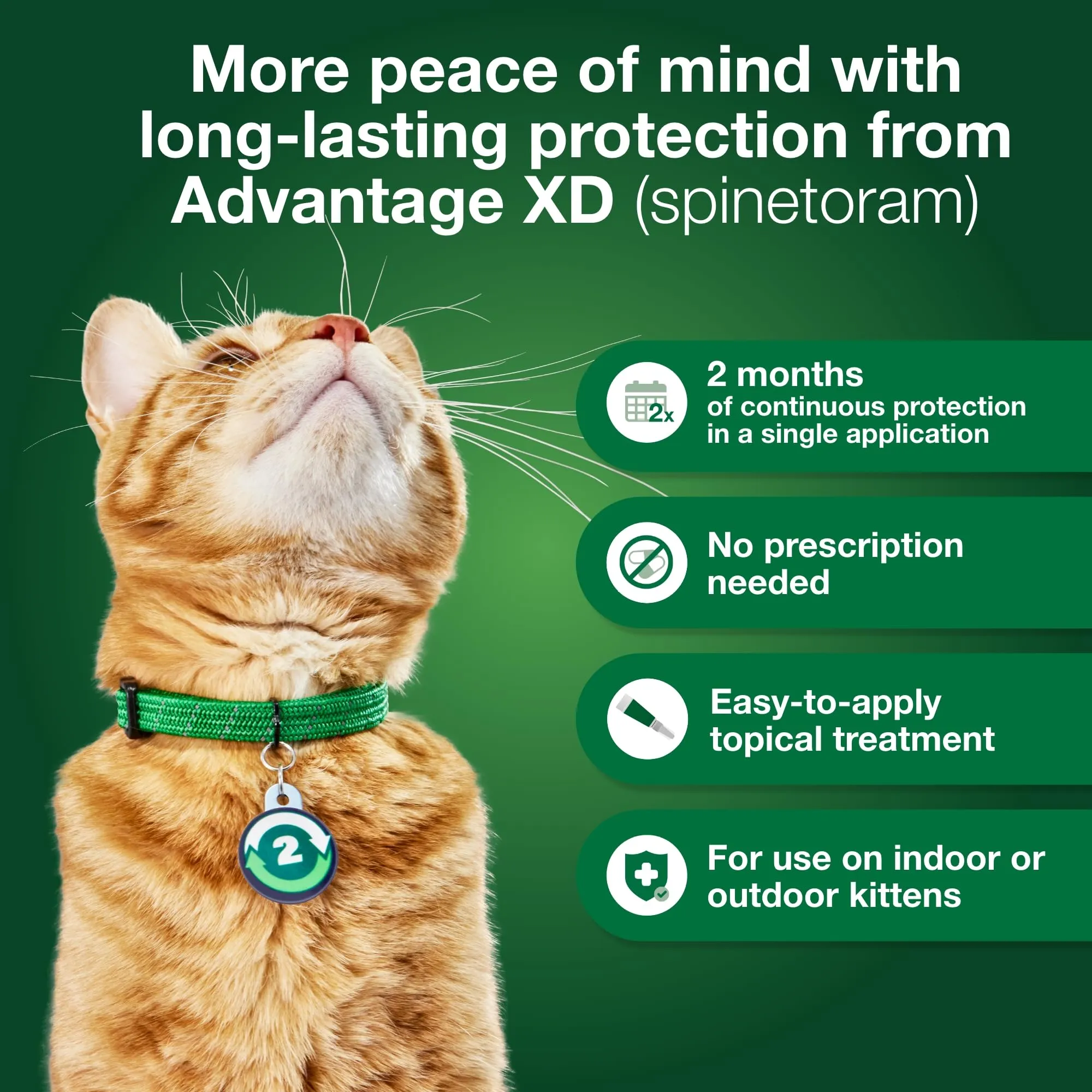 Elanco Advantage XD Extended Small Cat 8-Month 4-Dose Flea and Tick Spot-on Treatment - 1.8-9Lbs - 4 Pack