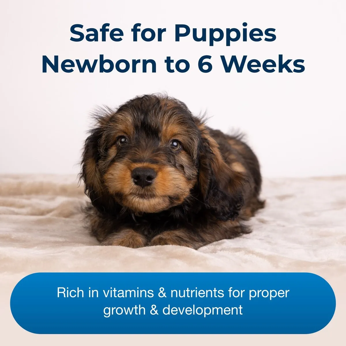 Esbilac Puppy Milk Replacer Liquid (11 oz)