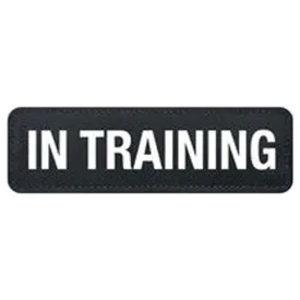 Ezydog Convert Side Patch - In Training