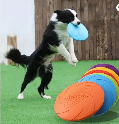 Flying Disc Pet Toy
