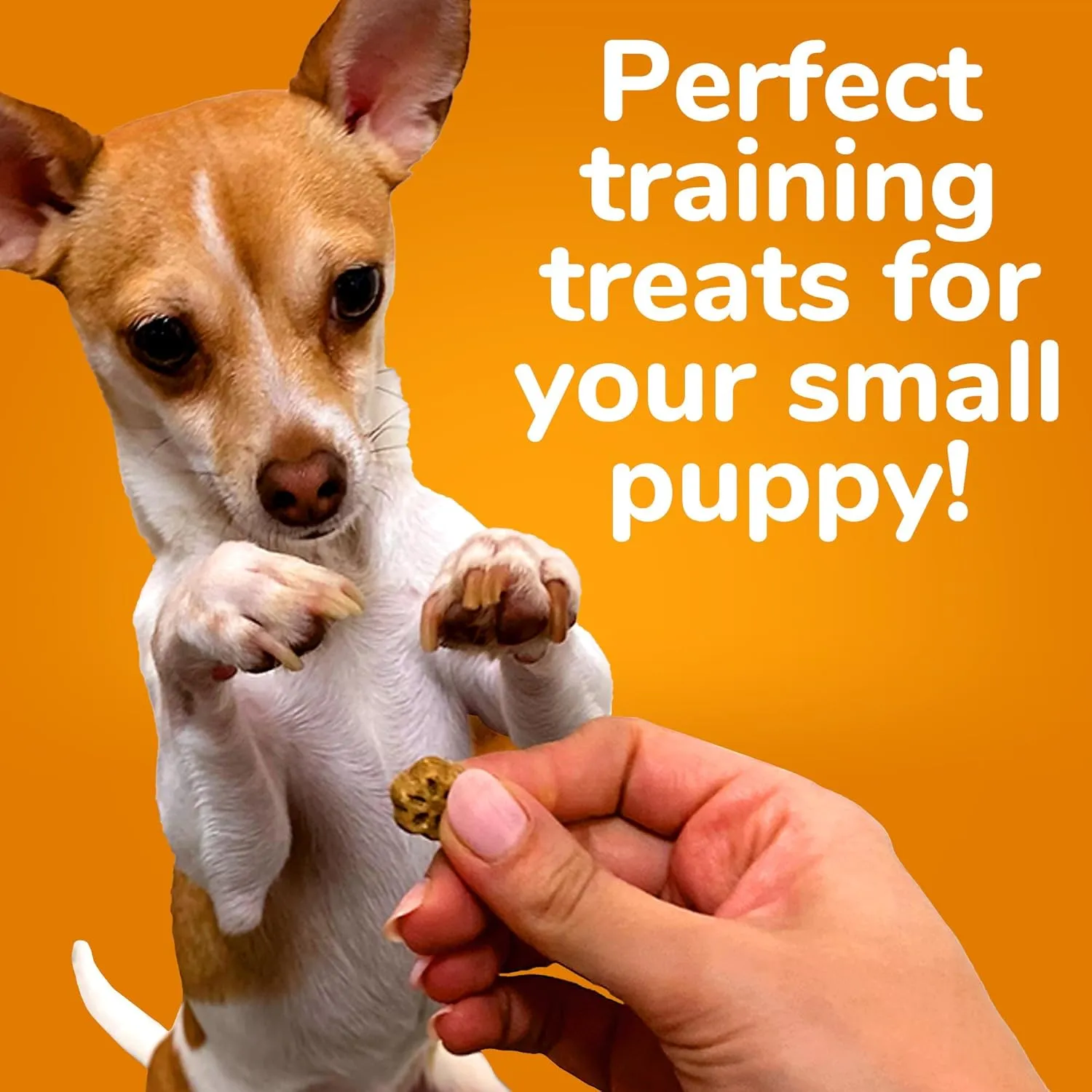 Fruitables Skinny Mini Dog Treats  Healthy, Low Calorie Training Treats  Wheat, Corn & Soy Free  Pumpkin Mango  5 Ounces (Pack of 2)