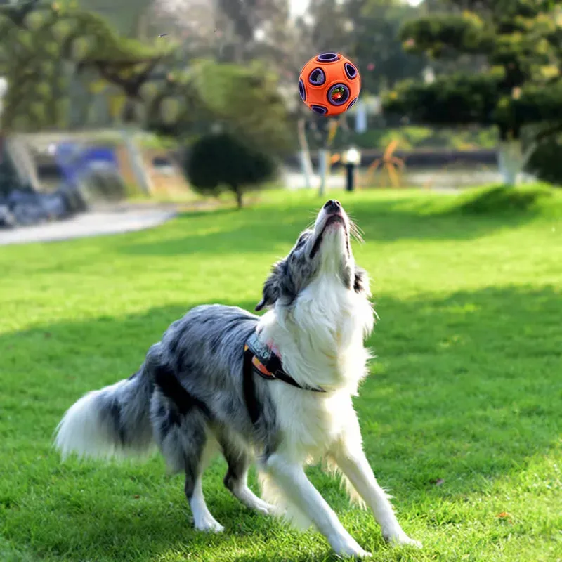 Funny Interactive Pet Dog Toy - Rubber Chew Ball for Dogs