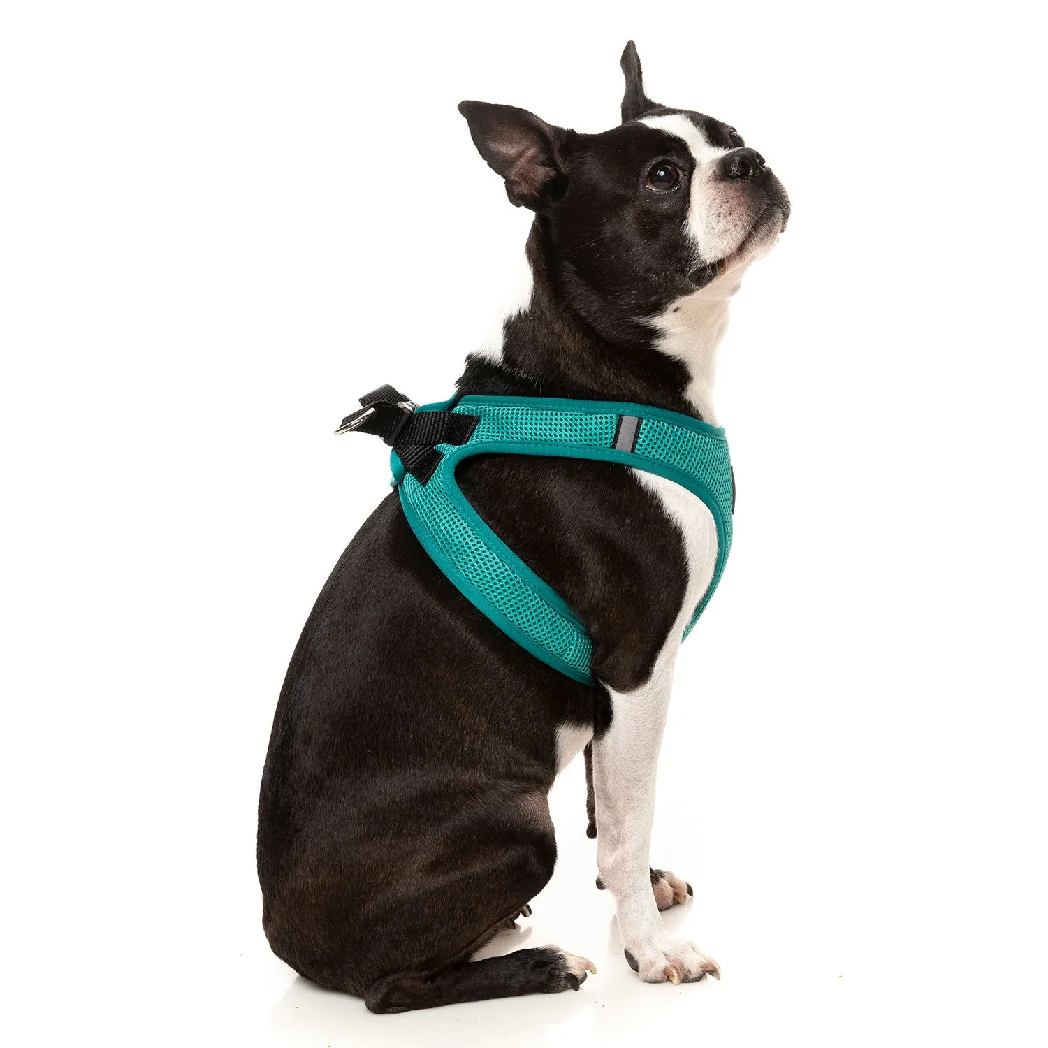 FuzzYard Lagoon Step In Dog Harness Teal