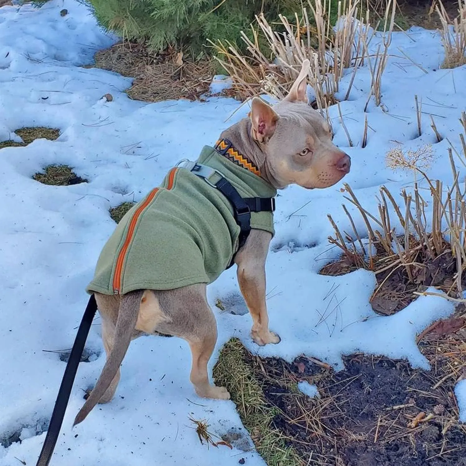 Gooby Zip-Up Microfiber Fleece Dog Sweater - Green, X-Small - Warm Double-Layered Soft Microfiber Fleece Step-In Dog Jacket Without Leash - Winter Sweater for Small - Medium Dogs