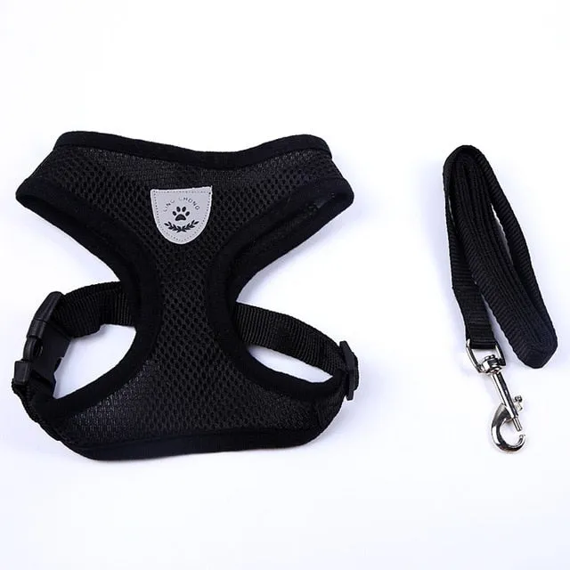Harness and Leash Set Puppy