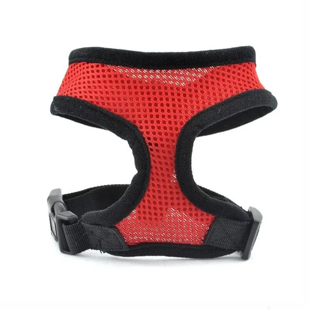 Harness and Leash Set Puppy