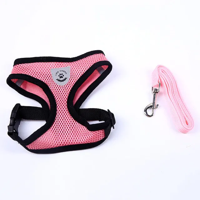 Harness and Leash Set Puppy