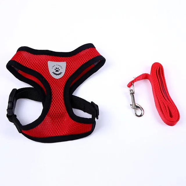 Harness and Leash Set Puppy