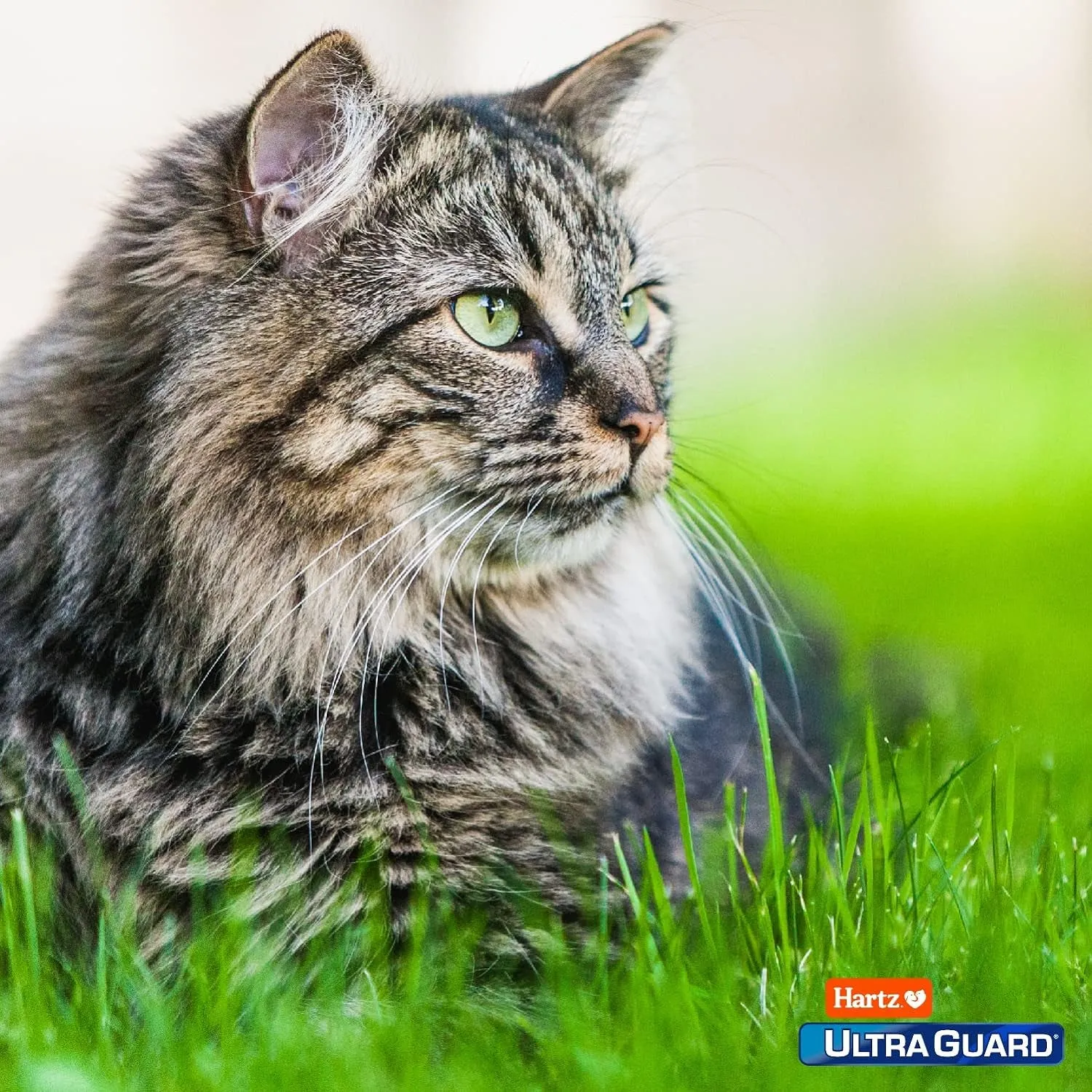 Hartz Ultraguard Topical Flea & Tick Prevention for Cats and Kittens - 3 Monthly Treatments