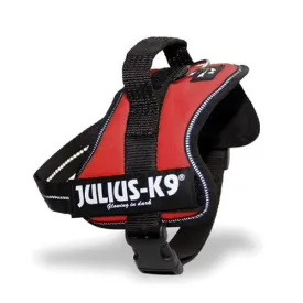 Julius-K9 Power Harness Red