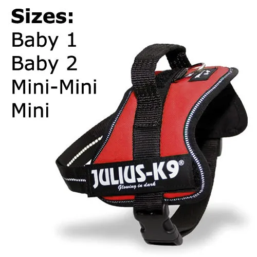 Julius-K9 Power Harness Red