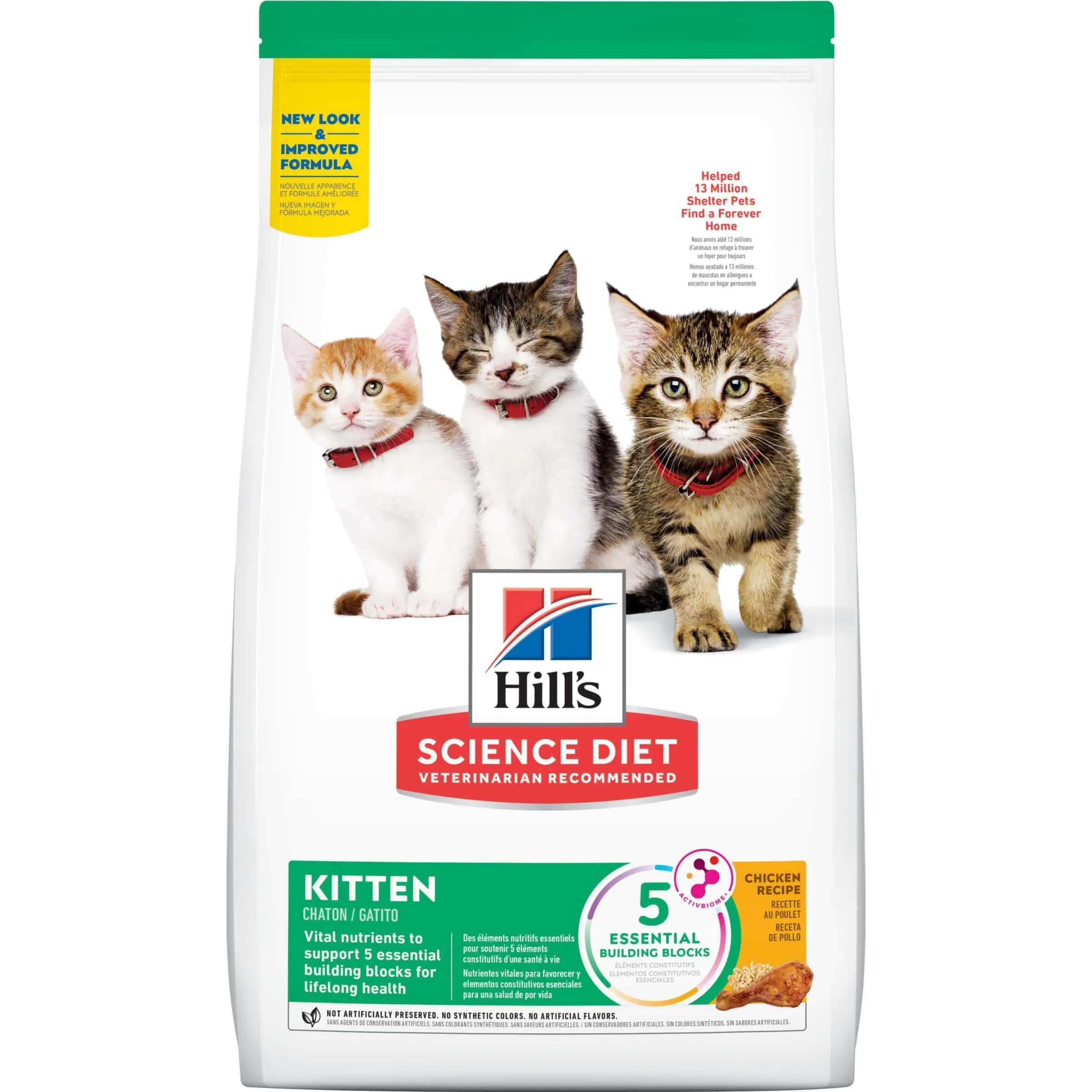 Kitten Essentials Starter Bundle